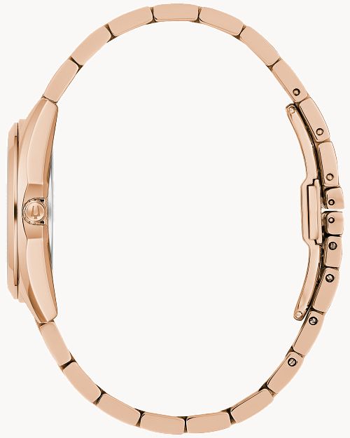 Surveyor image number 1