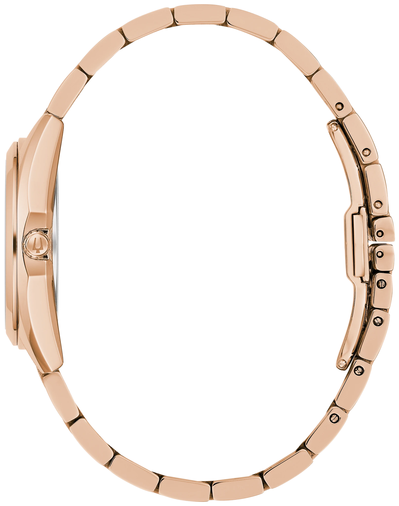 Surveyor image number 1