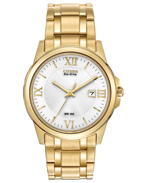 Citizen eco drive wr100 gold price best sale