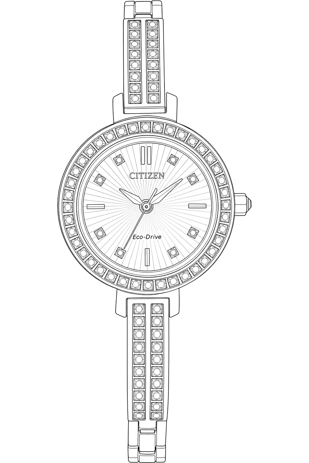 Watch technical diagram