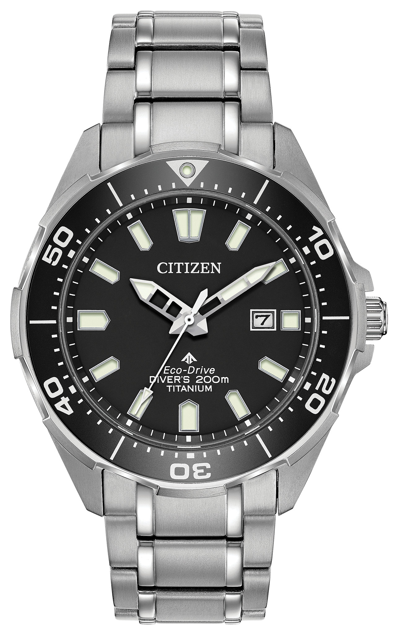 citizen promaster titanium