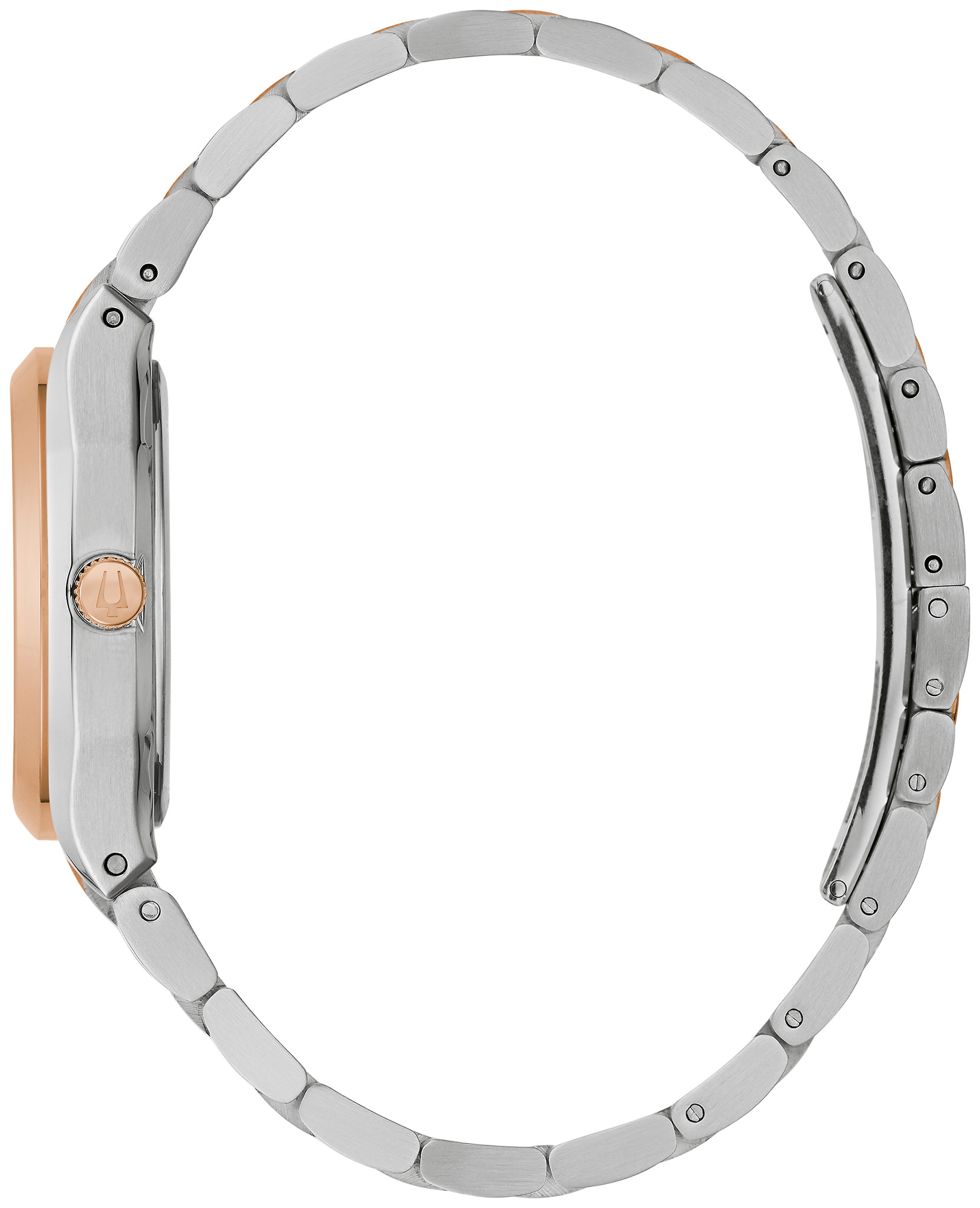 Surveyor image number 1