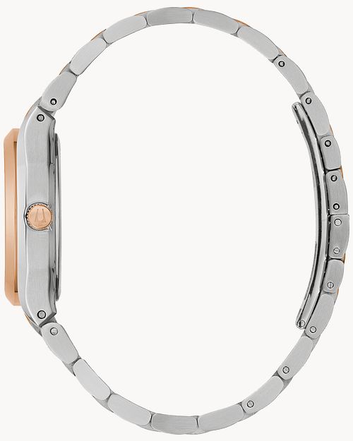 Surveyor image number 1