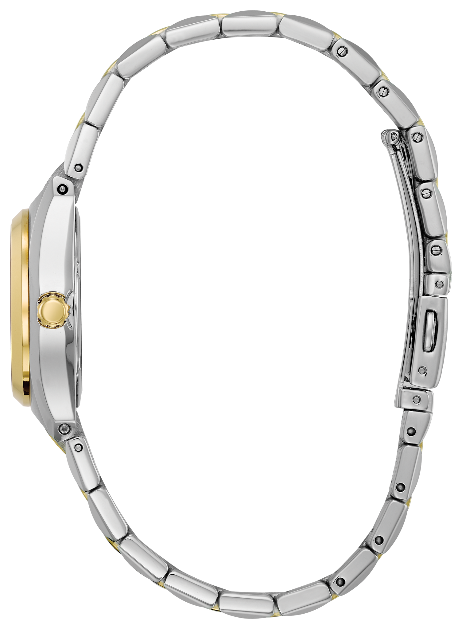 Corso image number NaN