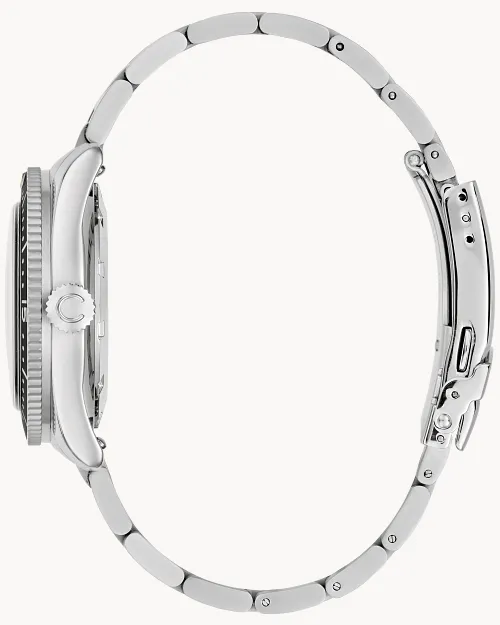 Sea Hunter image number 1