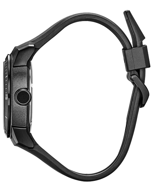 Panthère noire image number 1