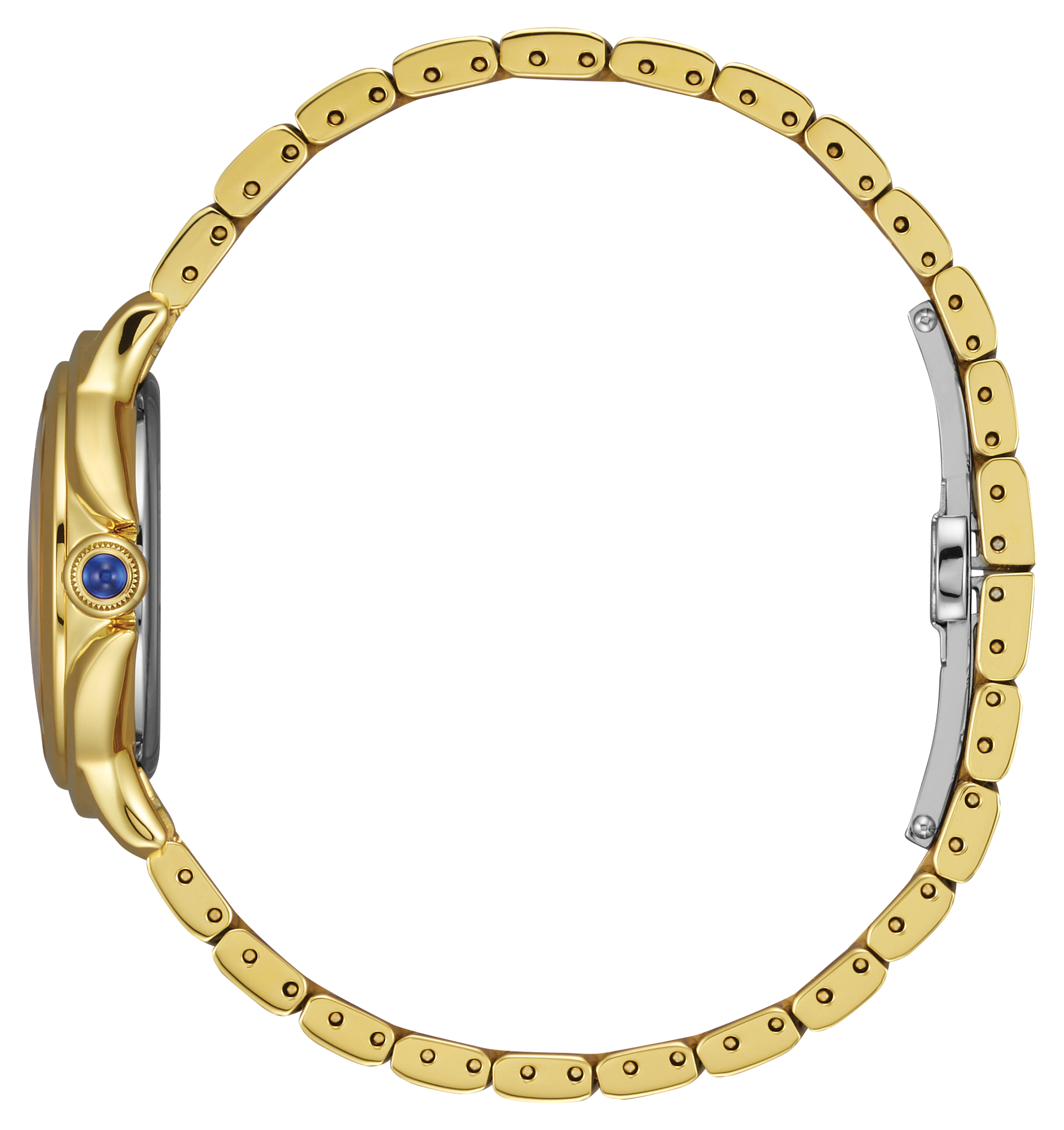 Ceci image number NaN