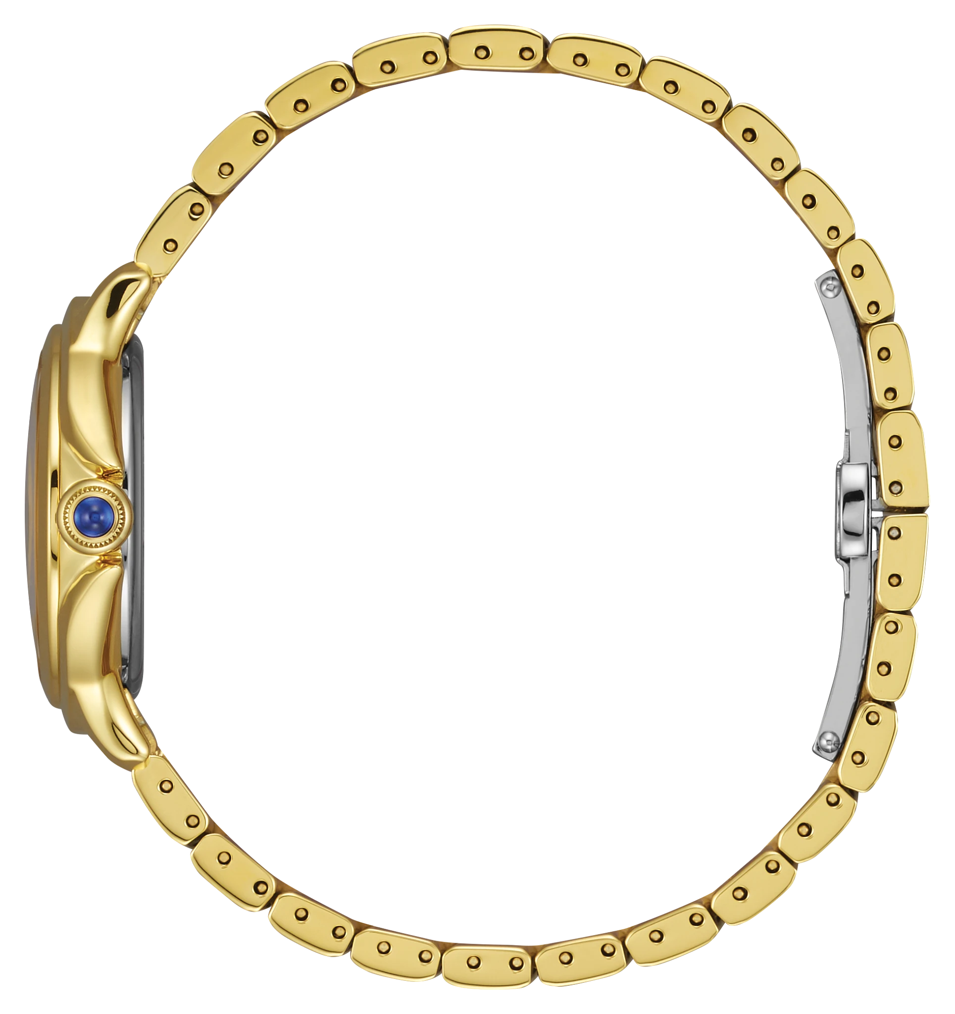 Citizen L Ceci image number 1