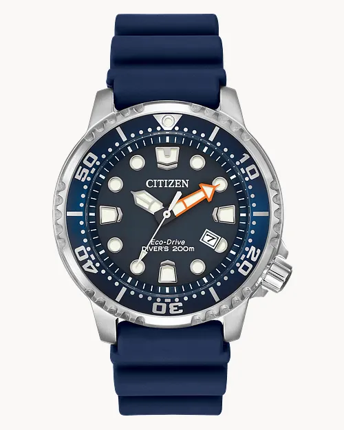 Promaster Dive image number 0