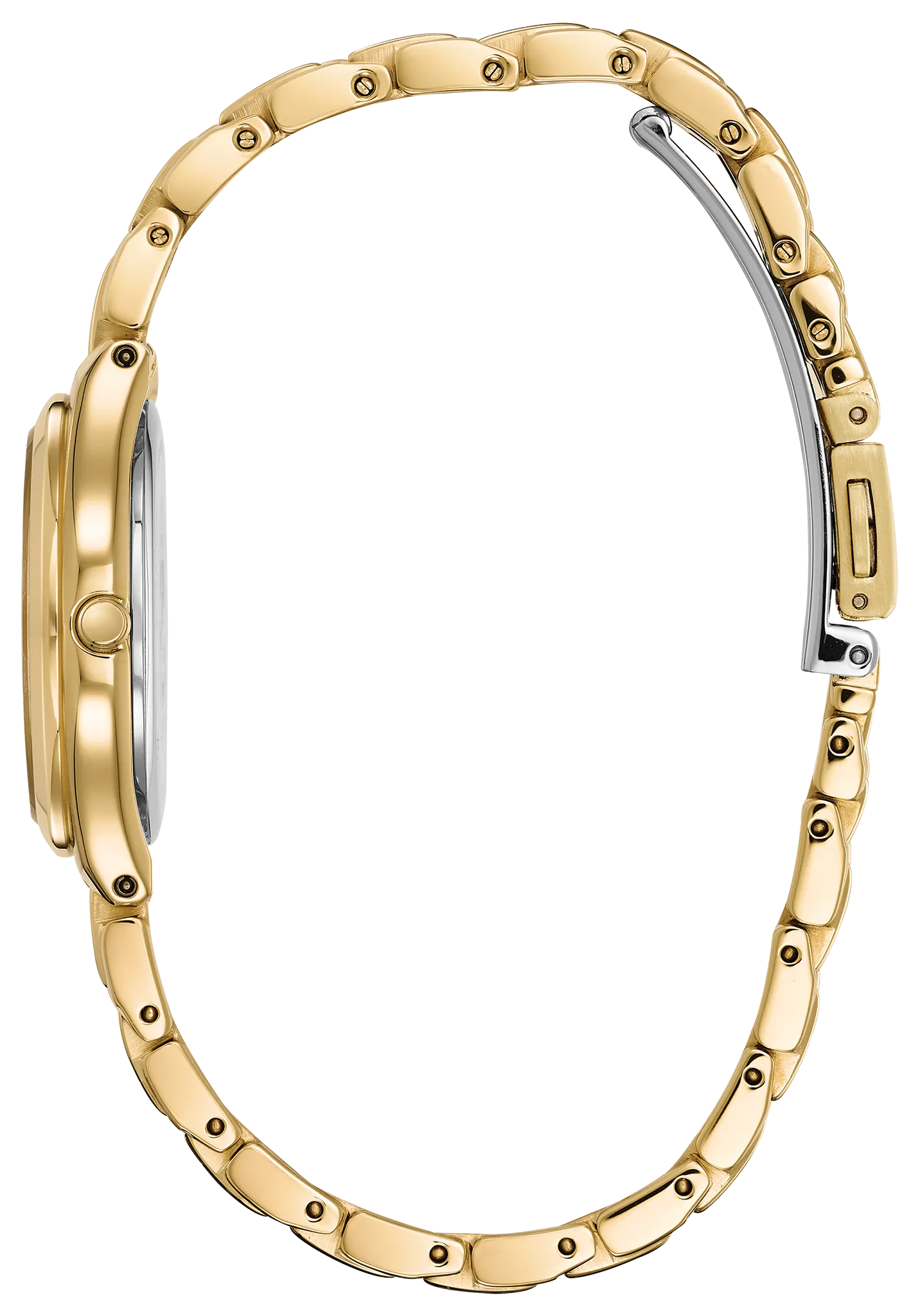 Corso image number 1