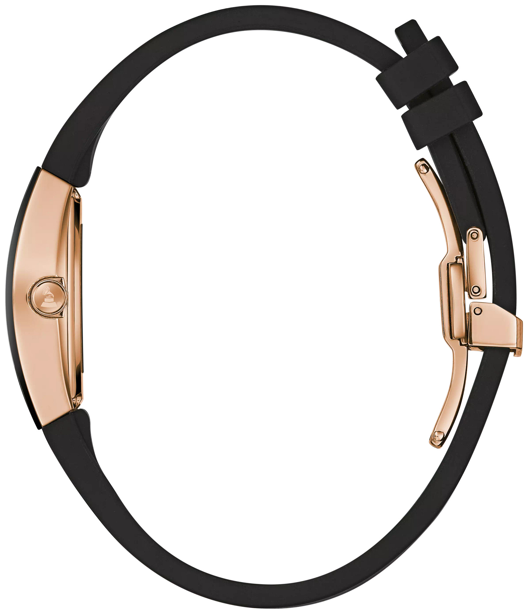 Gemini image number 1