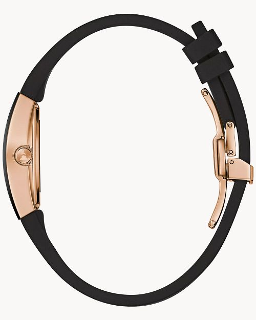 Gemini image number 1