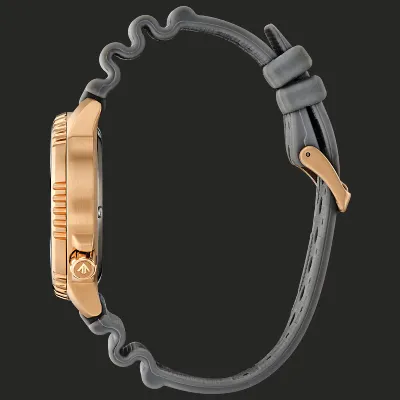 Promaster Dive Promaster Dive