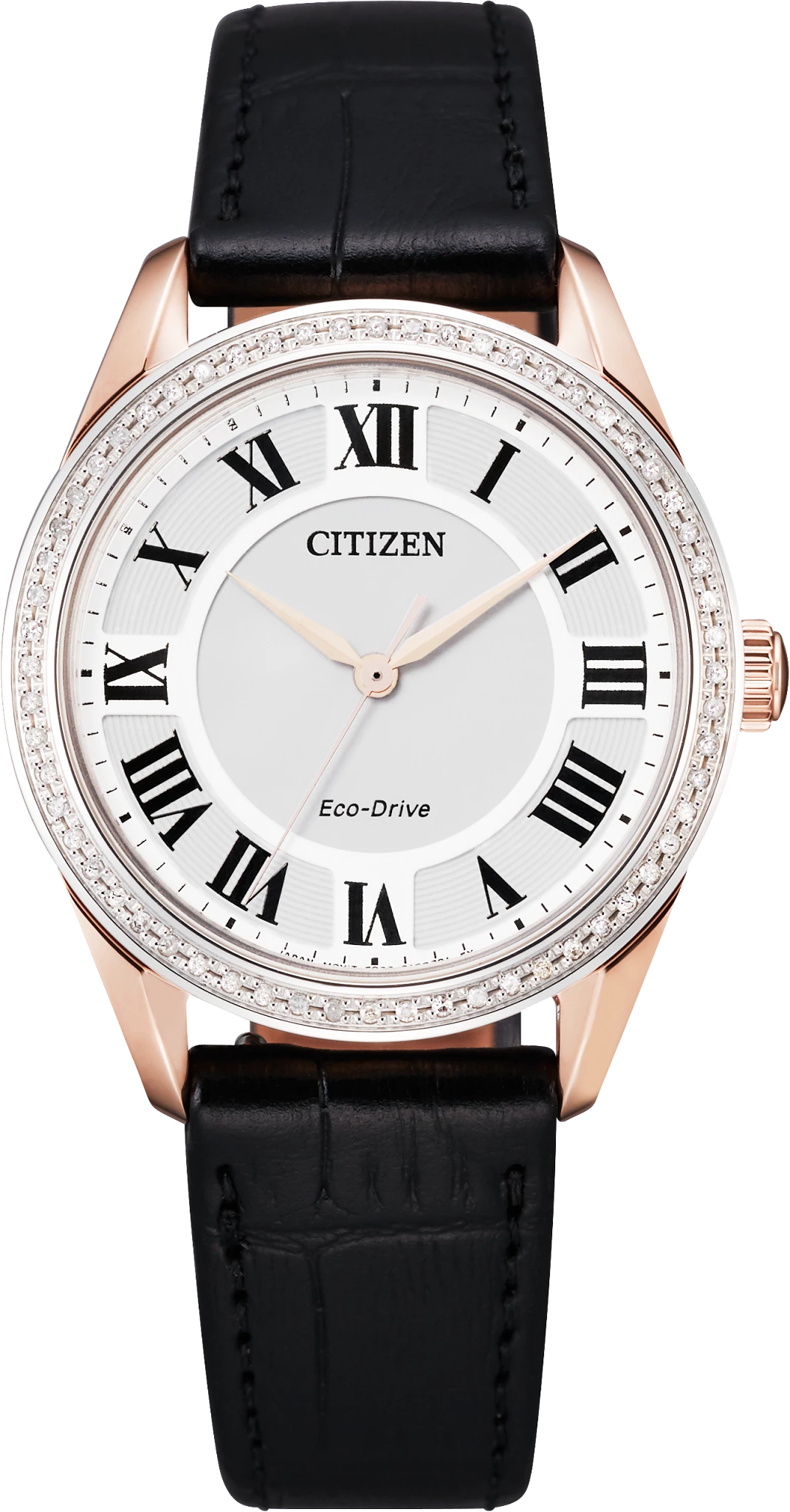 Arezzo image number 0