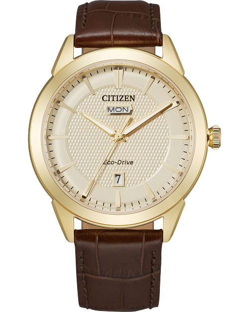 Rolan Champagne Dial Leather Strap AW0092 07Q CITIZEN