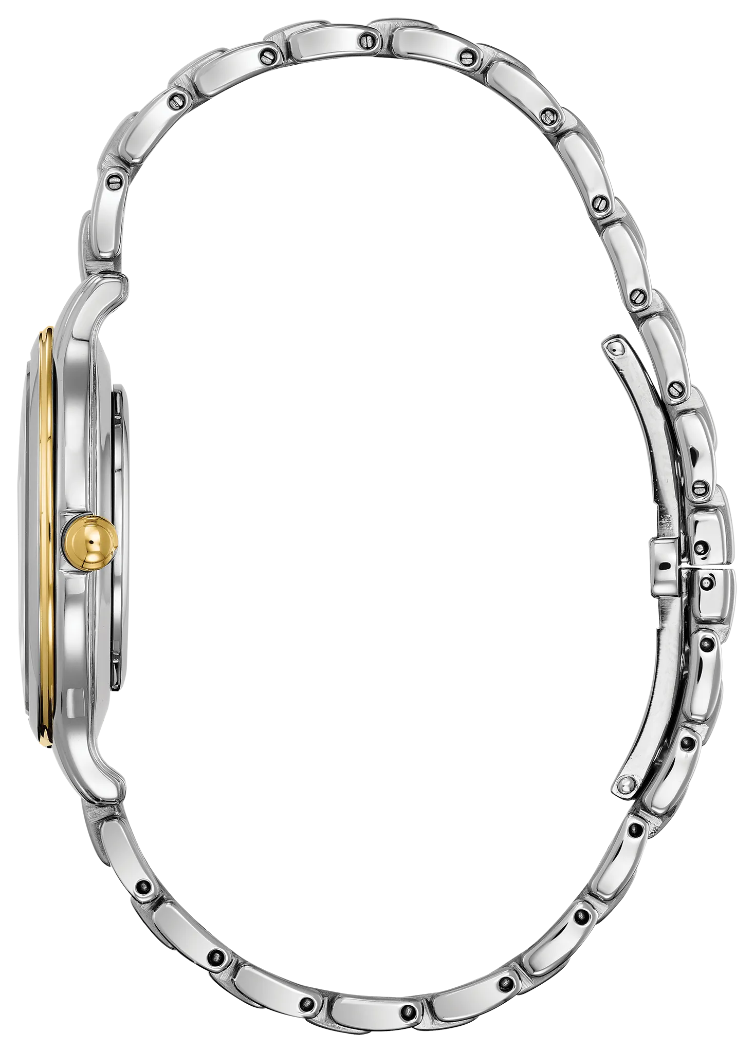 Citizen L image number 1