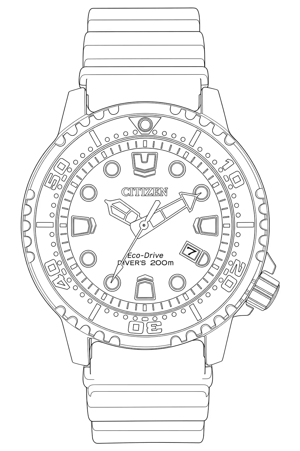 Watch technical diagram