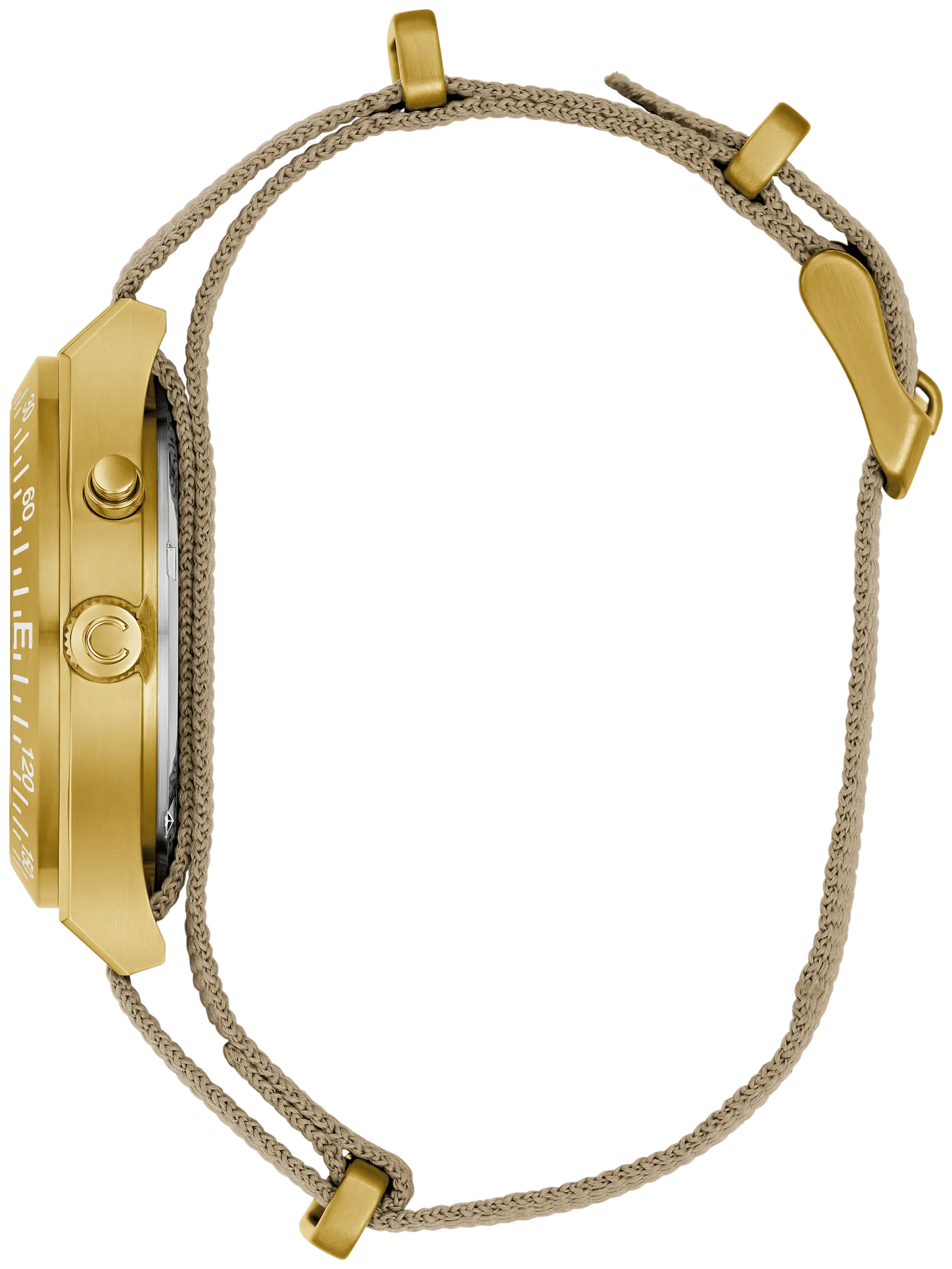 Caravelle Light Up