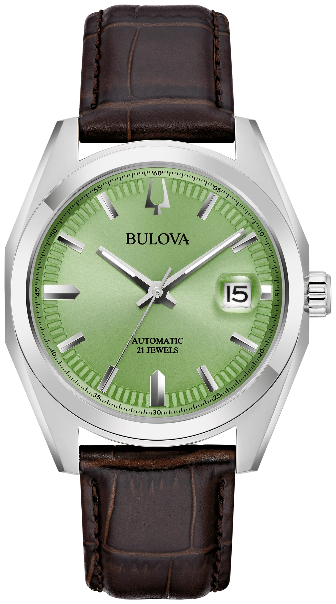 Surveyor image number 0