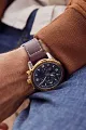 Promaster Skyhawk A-T image number 6