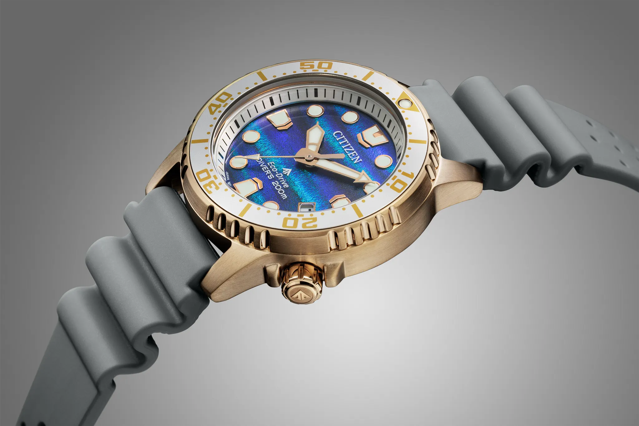Promaster Dive