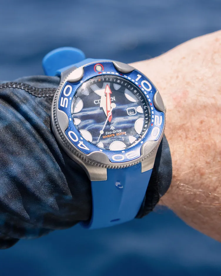 Promaster Dive image number 3