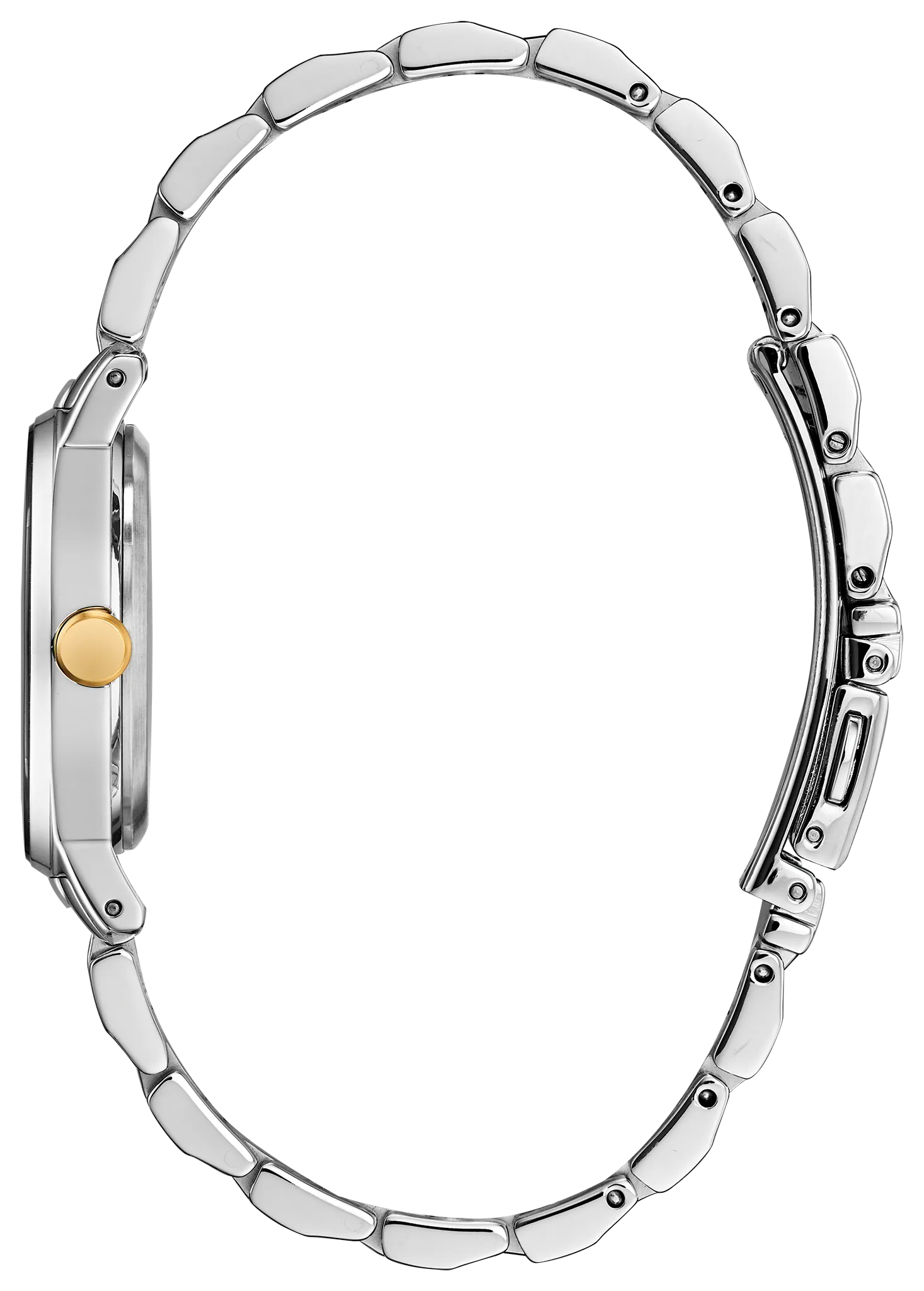 Axiom image number 1