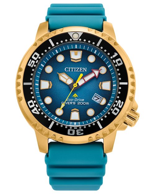 Citizen Eco Drive Mens ProMaster Aqualand Strap Watch, Blue