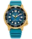 Promaster Dive