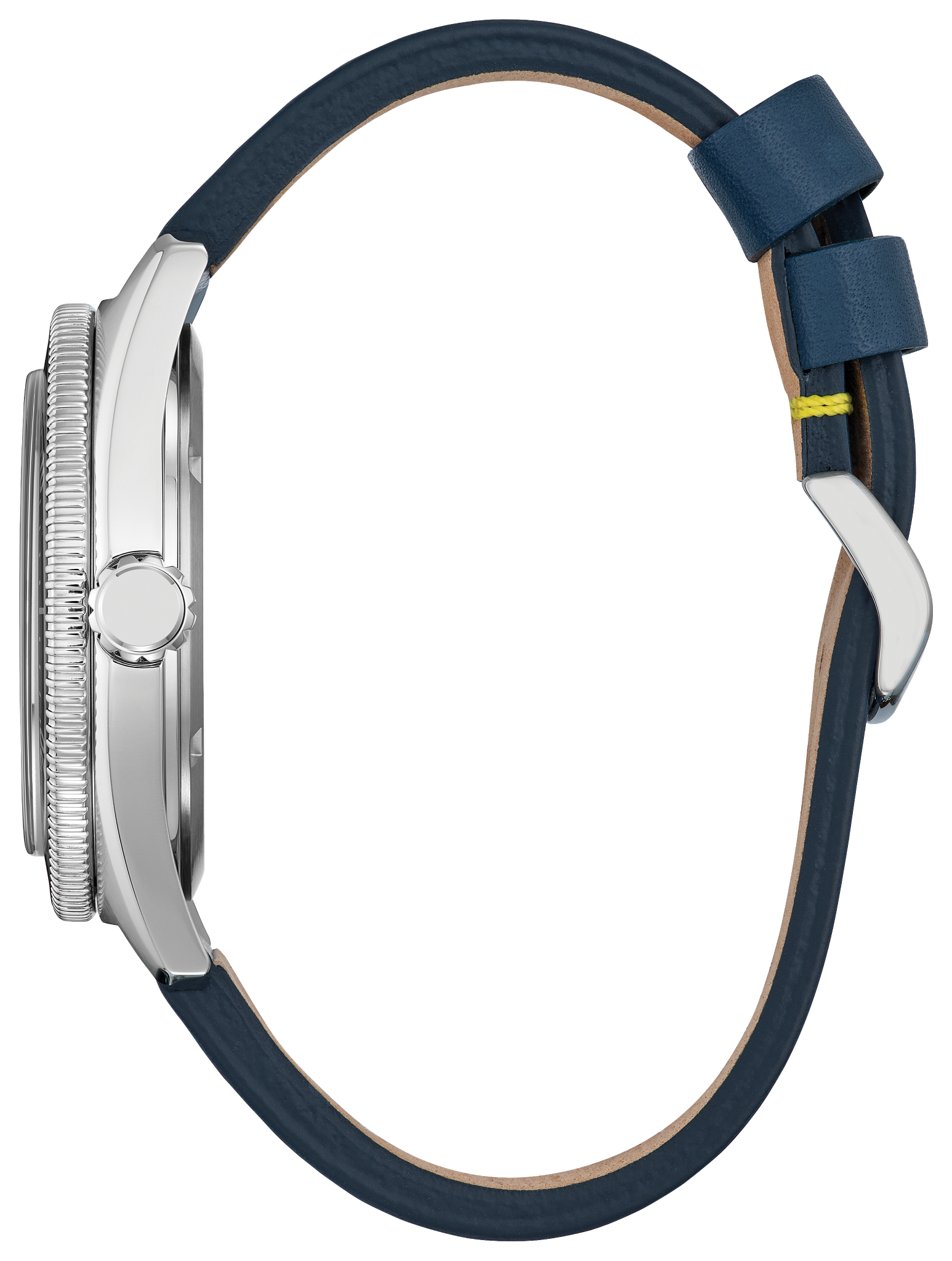 Donald Duck image number NaN