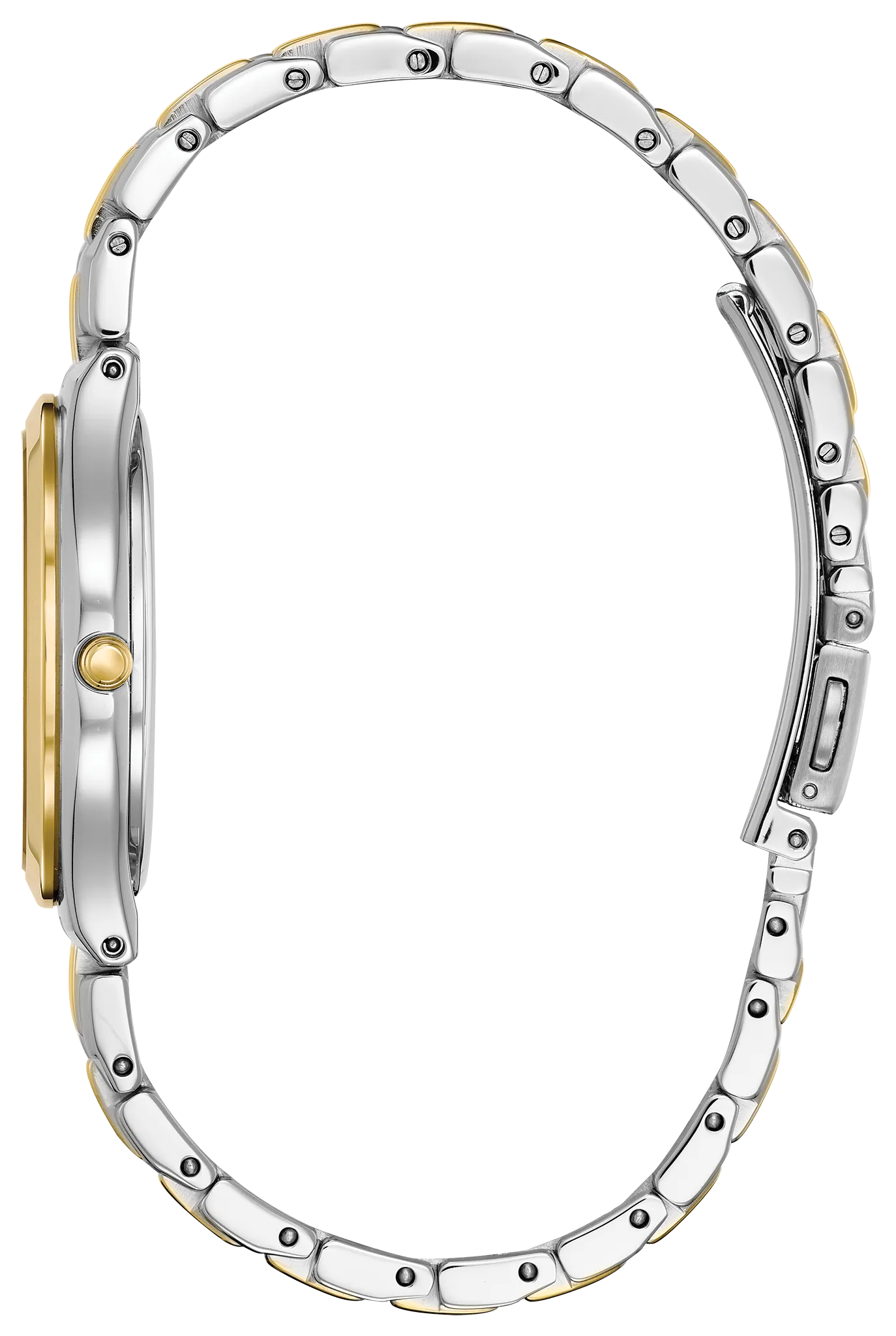 Corso image number 1