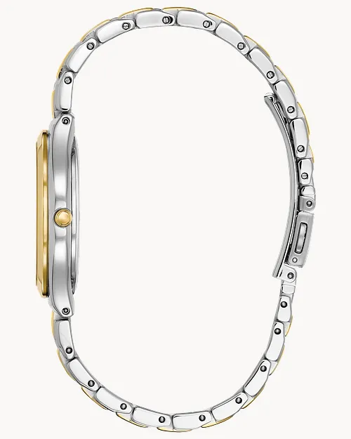 Corso image number 1