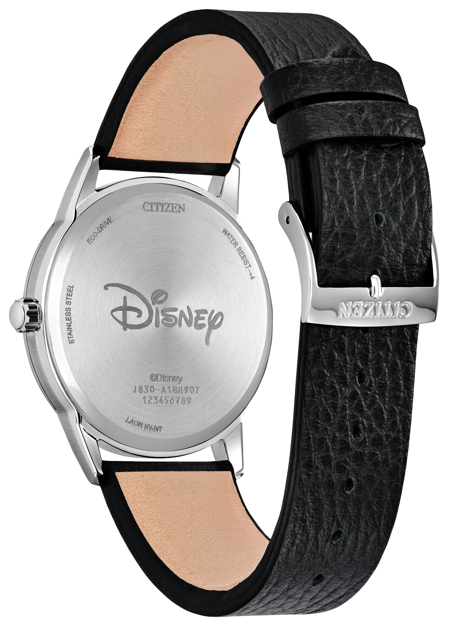 Sensational Six Road Trip