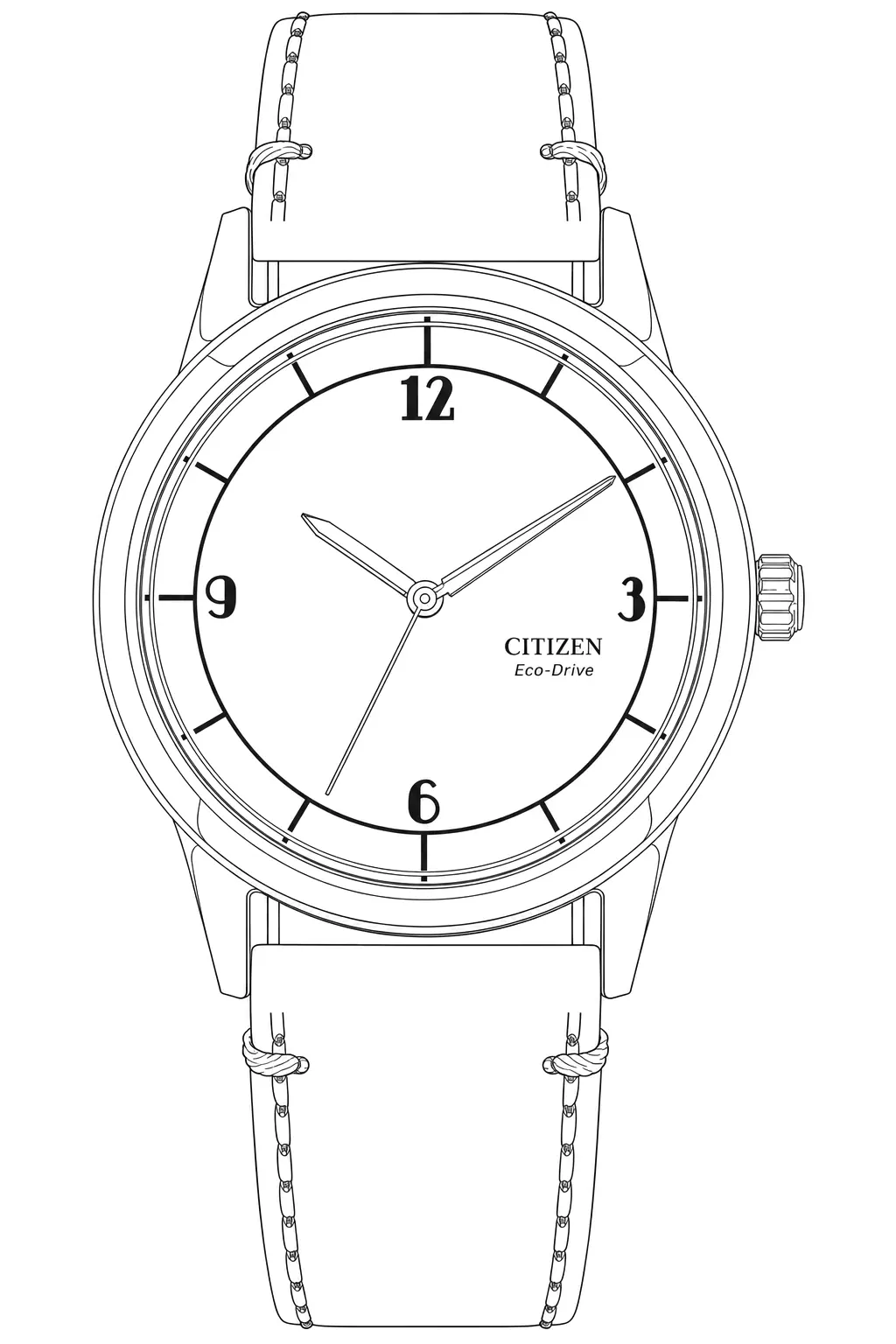 Watch technical diagram