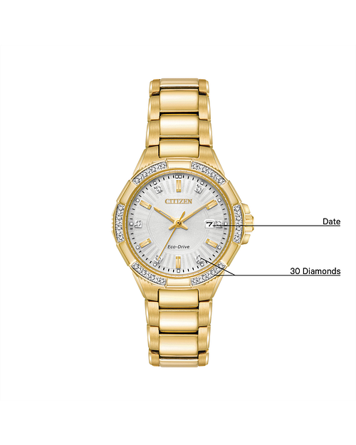 Citizen clearance riva watch