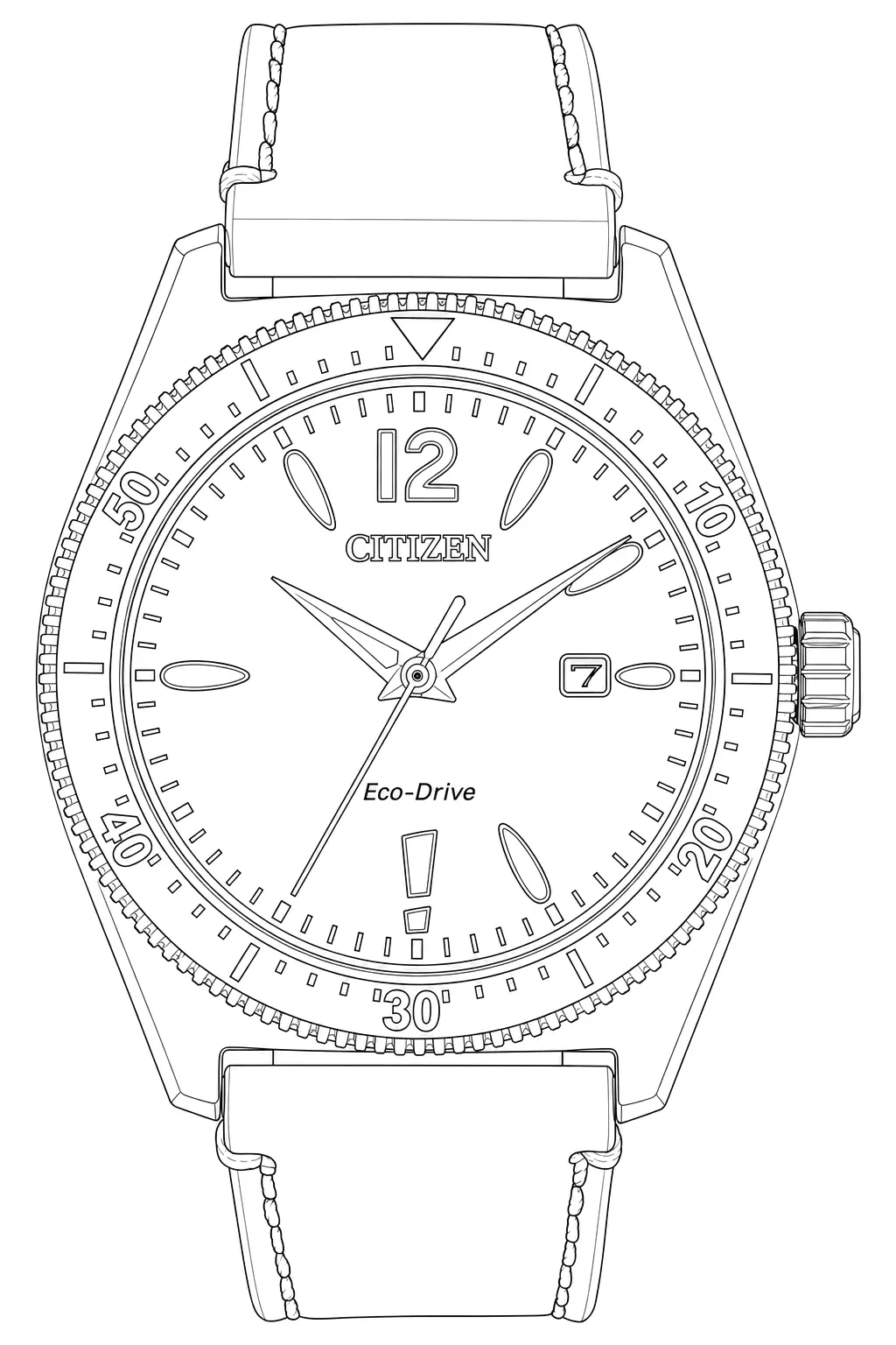 Watch technical diagram