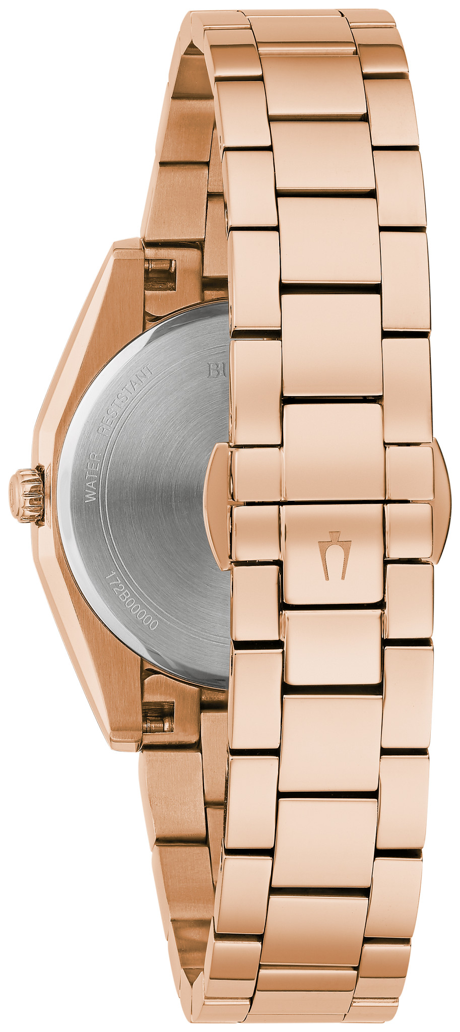 Surveyor image number 2