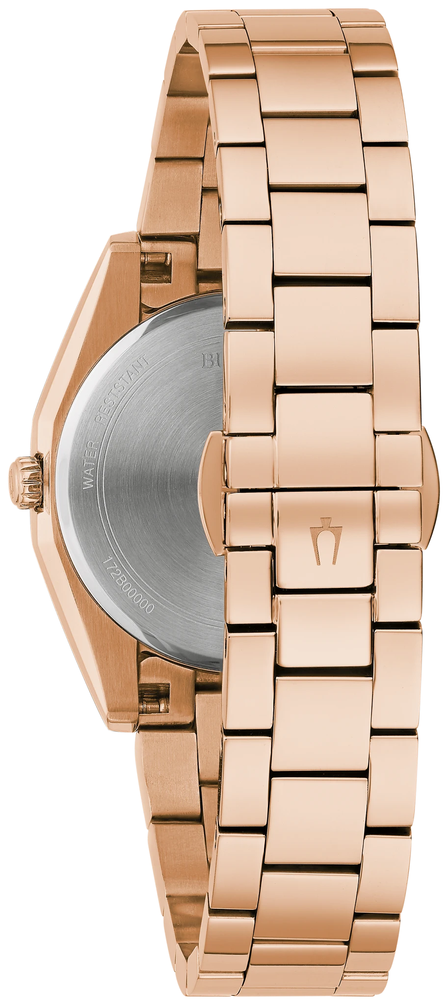 Surveyor image number 2