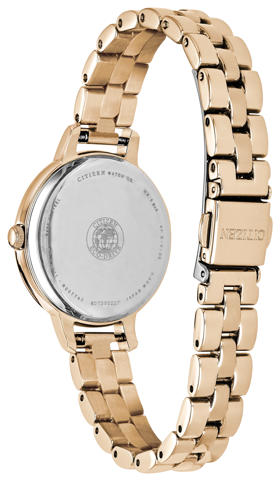 Chandler image number 2