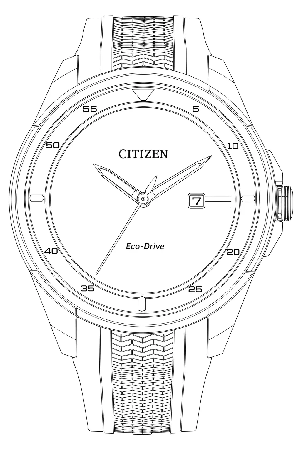 Watch technical diagram
