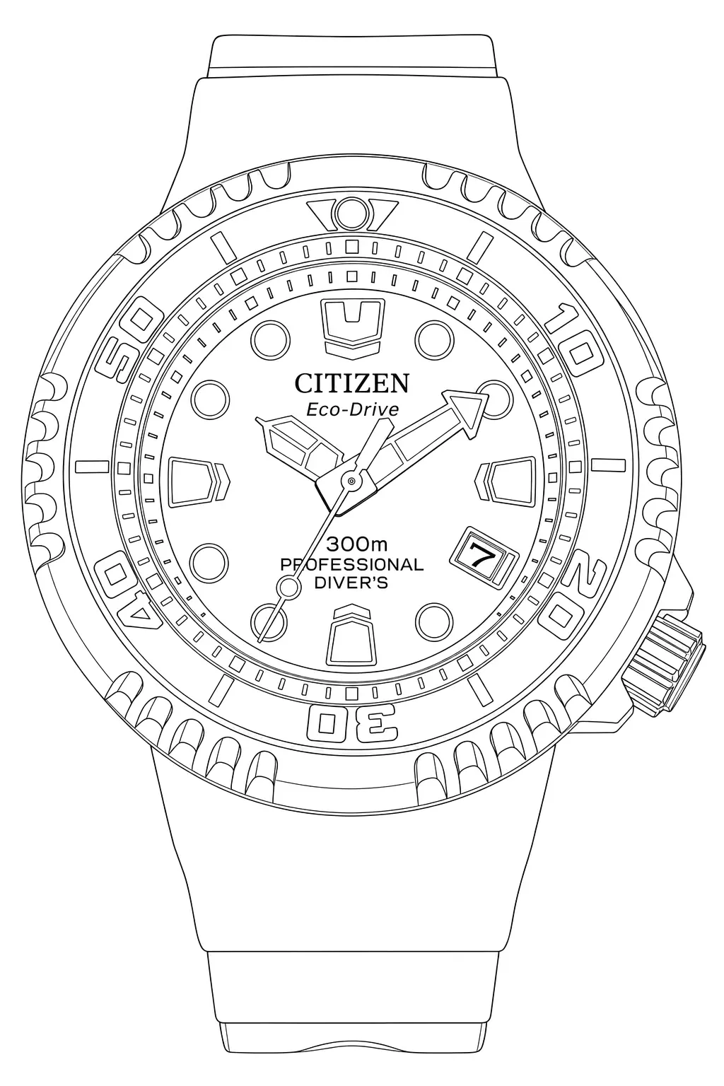 Watch technical diagram