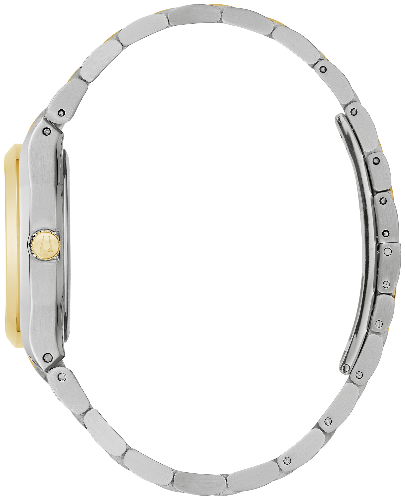 Surveyor image number 1