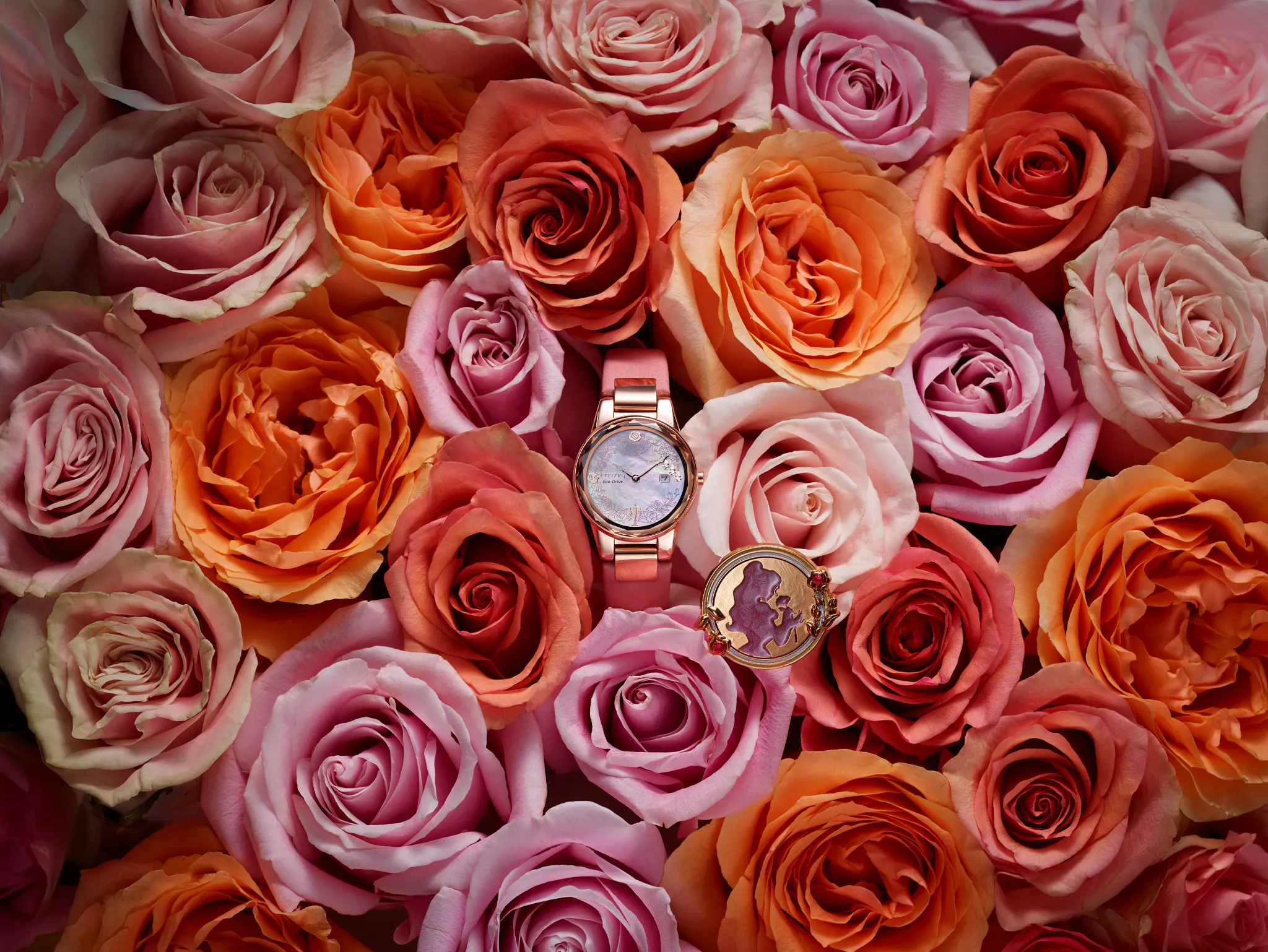 Une image du produit undefined