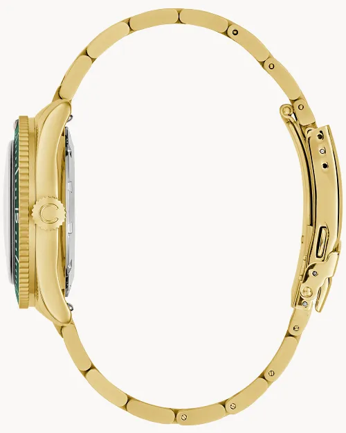 Sea Hunter image number 1