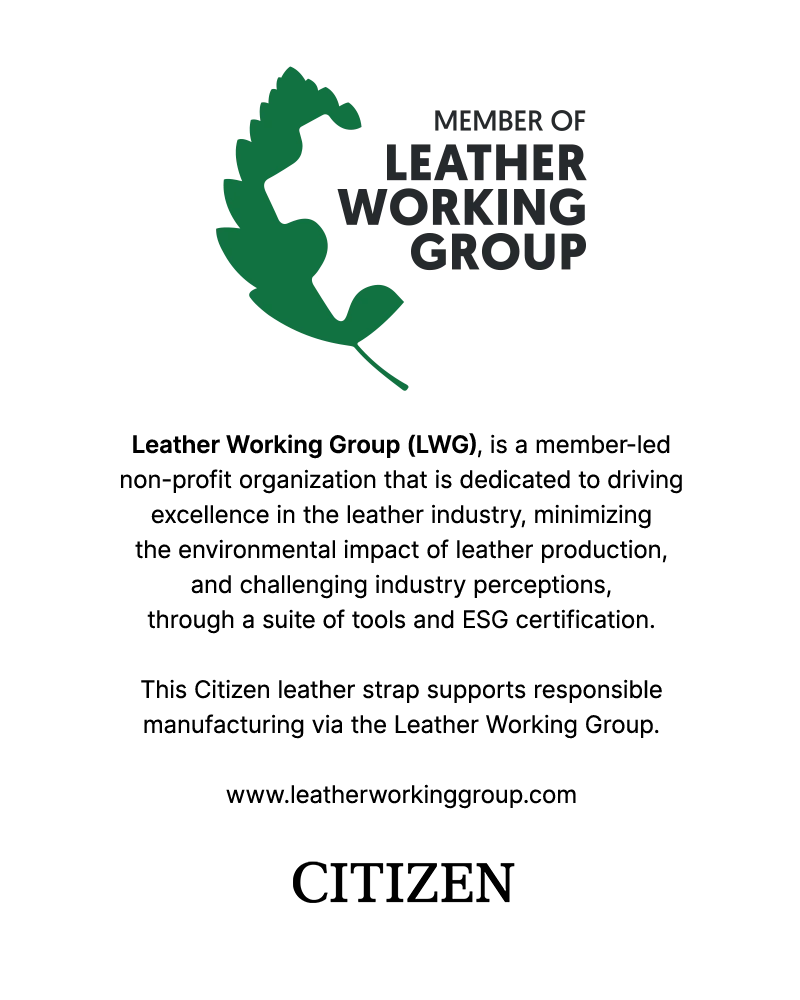 Promaster Skyhawk A-T