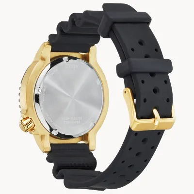 Promaster Dive Promaster Dive