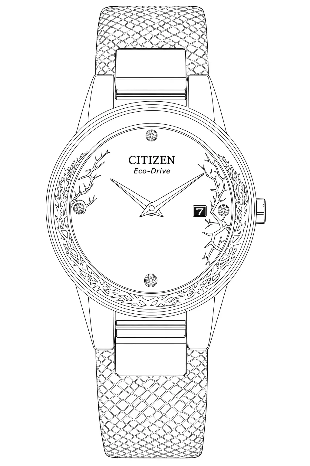 Watch technical diagram