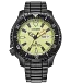 Promaster Dive Automatic