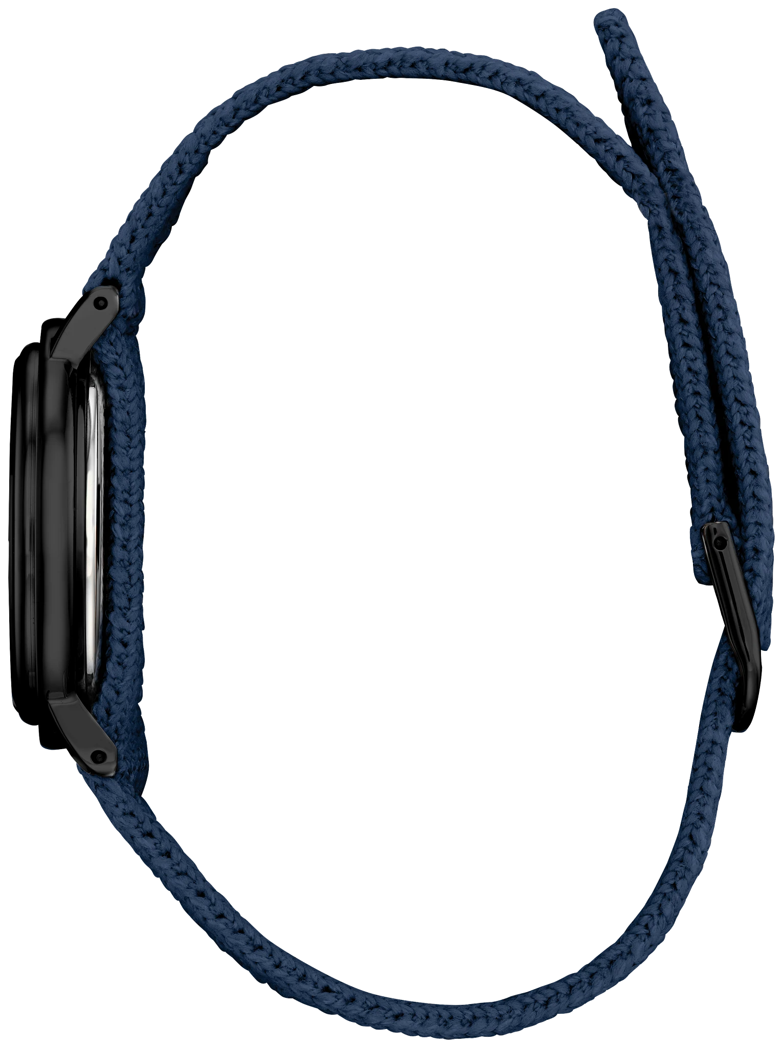 Ecosphere image number 1