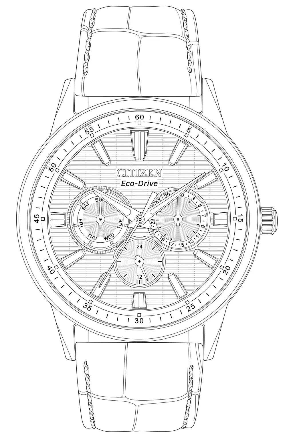 Watch technical diagram
